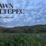 People in a green field at dawn in Niltepec, Oaxaca, with hills in the background. Text reads “At Dawn in Niltepec” and “Feria Cultural del Añil · Oaxaca 2026.”